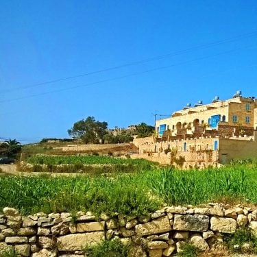 . . . . . . #visitmalta #visitgozo #malta #beautifuldestinations #iamtb #countrylife #instatravel…