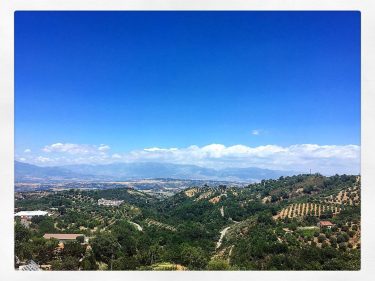 In #love with #relaxing #landscapes ‍️ • • #wedding #weddingweekend #traveltips #bnb #alwaysbetraveling #Italy…