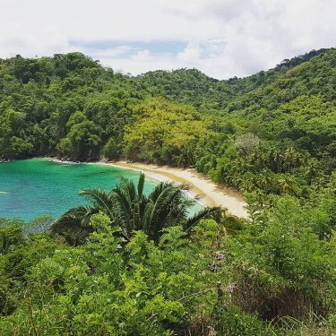 Another day in paradise #caribbean #caribbeanlife #paradise #paradiseisland #ocean #beach #beachlife #wanderlust #globetrotter #luxury&hellip;