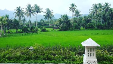 Tanah airku Indonesia, negeri elok amat #beautifulindonesia #borobudur #javanese #amazingview #wonderfulindonesia #indotravellers #offthebeatenpath #bnesimppl