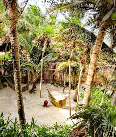 I’d like to be there #repost @nesttulum #landscape #tulum #tulum #tulummexico #tulumlife #tulumvibes #tulumquintana…