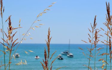 “Necesito del mar porque me enseña: no sé si aprendo música o conciencia: no…