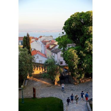 #лиссабон #lisbon #португалия #portugal #photoholic #европа #фотопрогулка #canon_photos #photography #фотосессия #тревел #travelblogger #travelask #nexttravelgoals…