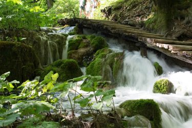 Pose longue dans les forêts féeriques de Plitvice #forest #waterfall #park #plitvice #croatia #roadtrip…