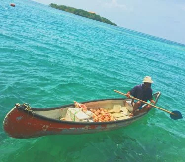 No #islasdelrosarioybaru #islas #islandlife #baru #islabaru #baruisland #cartagena #Colombia #travelphotography #travelholic #travelgirl #traveller #travelcomunity&hellip;