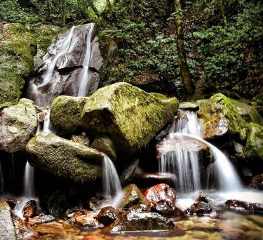 Jungle Streams #borneo #malaysia #waterfall #jungle #말레이시아 #자연 #풍경