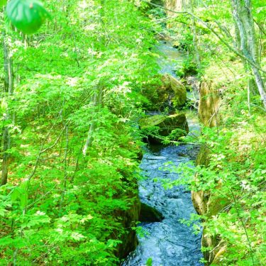 樽前ガロー、北海道。 ＊ ＊ お迎え前にinsta更新 ＊ 明日から久しぶりの3連休 ＊ 夫がちょこちょこ仕事行ってる間にスウェーデン調べないと ＊ ＊ ＊ #landscape #ドライブ #trip&hellip;