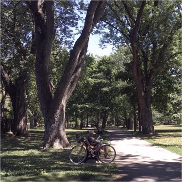 Montreal summer ️ books, biking, benches in parks, likely some brews too