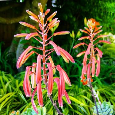 #rkphotography17 #photography #photo #photographer #travelrealindia #travel #travelling #streetphotographyindia #follow4follow #followme #followforfollow #commentforcomment #comment4comment #likesforlikesback&hellip;