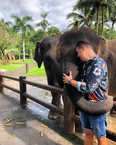 There is no greater joy for the soul than to travel – Elephantidae is…