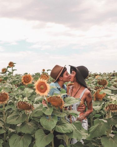 Sunflower kisses