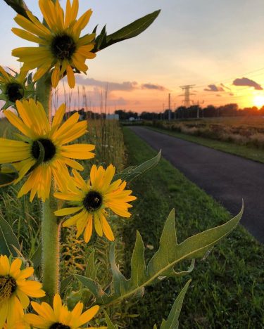 ️ “When you arise in the morning, think of what a precious privilege it…