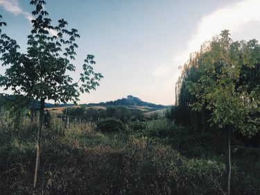 Avere il privilegio di vedere l’eclissi in un posto fuori dal tempo. Raggiungibile solo…