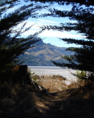 Exploring the South Island of New Zealand just outside of Christchurch back in 2008.…