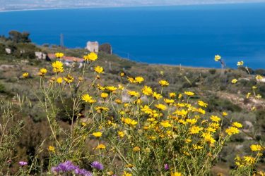 Non avere fretta di arrivare a destinazione, goditi, del viaggio, ogni sua emozione .…