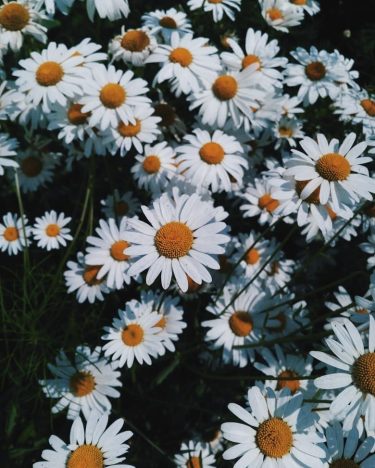 У каждого человека есть место, в котором он чувствует свободу, прилив сил(и физических и&hellip;