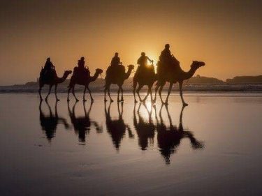 Tourists often go to Essaouira because it’s a fun seaside town a quick drive…