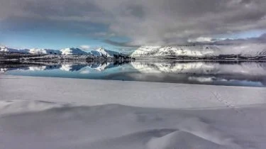 Espejo #caviahue #patagonia #argentina #turismoneuquen #viajarporargentina #travelandlife #viajar #travel #instamoment #instaphoto #instatravel #travelphotographer #wildlifephotographer&hellip;