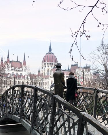 Интересные факты о Будапеште . О каждом городе можно найти несколько интересных и необычных…