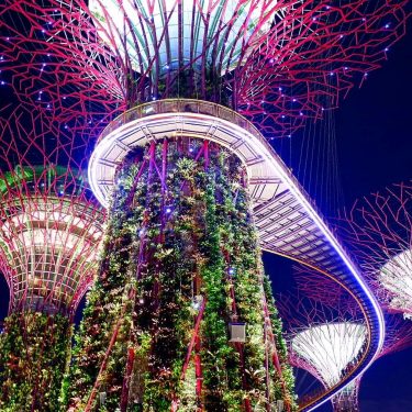 Super tree Grove #travelto #sourcedadventures #mustdotravels #travelingsnaps #theglobewanderer #livelovetheworld #travel_awesome #straythecourse #nomadnificent #vibetravel #wanderlust…