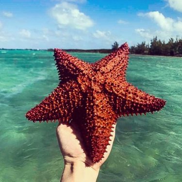 Not all the stars belong in the sky