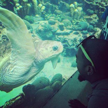 “The world’s finest wilderness lies beneath the waves …” — Wyland, Marine Life Artist&hellip;