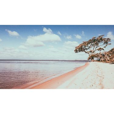 Forasteiro no litoral Nasci no planalto central Nas ondas não mando muito bem Sou…