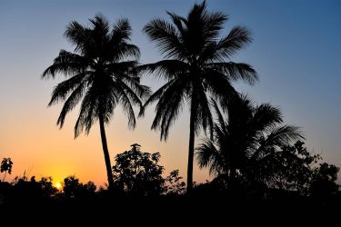 Every sunset is an opportunity to #sunset #sunsetphotography #nikond3400 #nikonphotography #instagram #natgeo #naturephotography #nature…