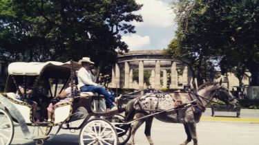 Mi bello ???????? My beautiful #jalisco #travel #mexico #tequila #travelformexico #visitmexico #turismo #viajemospormexico #bellaarquitectura&hellip;