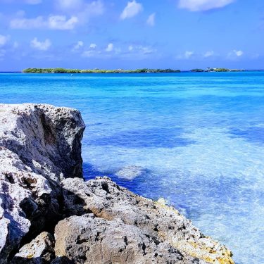 Ve con confianza a descubrir el horizonte de tus sueños con la certeza de…