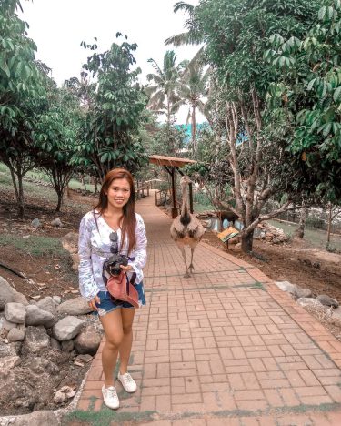 Spot the ostrich! . . . . . . . #travel #travelblogger #travelenthusiast #bnesimppl…