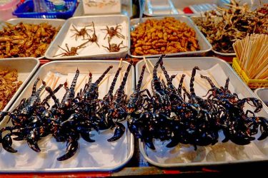 Street food at Khaosan #travelto #sourcedadventures #mustdotravels #travelingsnaps #theglobewanderer #livelovetheworld #travel_awesome #straythecourse #nomadnificent #vibetravel…