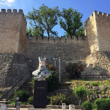 ???????? O castelo de Torres Novas foi edificado no reinado de D. Sancho I,…