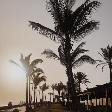 Canary Islands ???????????????????????? @awayncom @awaynapp #girlsdreamtravel #traveldreamseekers #iamtb #speechlessplaces #damestravel #canaryisland #travellikeagirl #wearetravelgirls #visitmaspalomas…