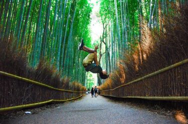 . . . . . . #japan #kyoto #bamboo #bambooforest #travel #photography #visualart&hellip;