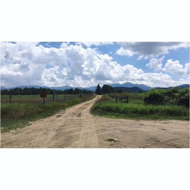 Wish I were ballsy enough to ride down all these private roads. The curiosity…
