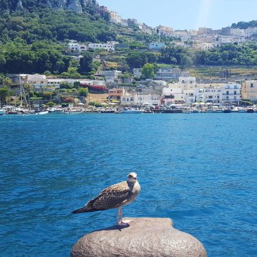 “Inside us all, sits a little adventurous you spread your wings, you’ll have no…