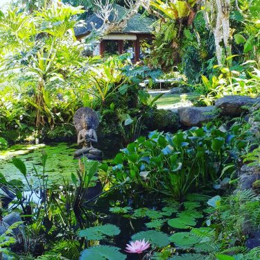 #bali #essence #travel #traveling #travelphotography #instatravel #bnesimppl #fiorediloto #l4like #l4l #neverstop #withyou