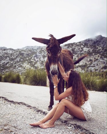 Throwback to my hopeless donkey love ️ @marydo_by_maren // retouch: @kathringroblewski . Outfit by…