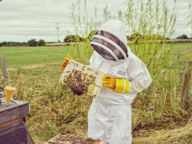 Anyone who knows me will know that I’m a bit of a bee fanatic&hellip;