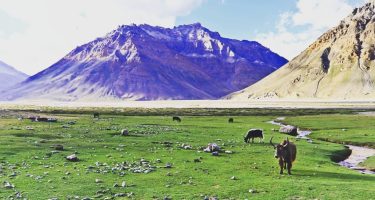 Landscape of I took this image on our way to chandrataal , and we&hellip;