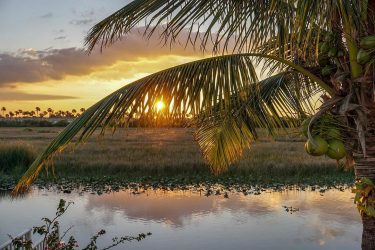 Testing my new Sony A6000 · · · #CocoViaja  #CocoEnFlorida #WomenWhoExplore #Wonderful_Places #WomanTraveler #IAmATraveler…