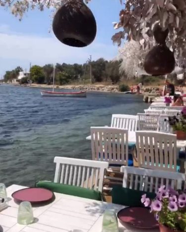Çiçekler kadar güzel bir hafta sonu geçirmiş olmanız dileğiyle herkese iyi akşamlar ???? #bodrum