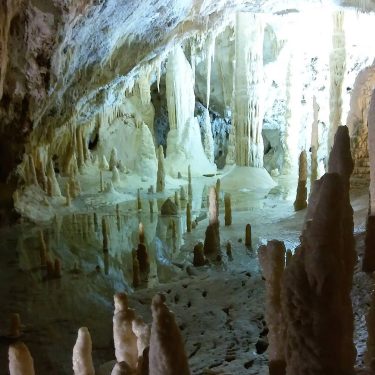 #Frasassi #caves #nature #naturelover #trip #italy #beauty #stalagmitesandstalactites #stalattiti #water #wonderfull #caverns #naturephotography #volgoitalia…