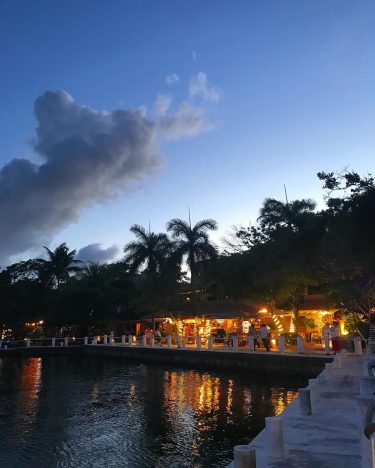 We had a fabulous dinner beside a lagoon with frolicking dolphins. How was your…