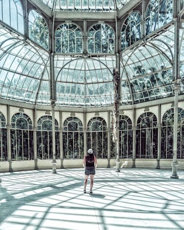 Palacio de Cristal. . . . #veranolumixinthecity . . . #madrid #igersmadrid #visitmadrid #palaciocristal…