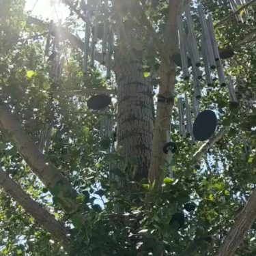 “Listen. Can you hear it? The music. I can hear it everywhere. In the…
