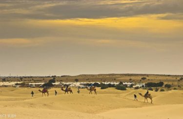 A glorious golden hour! I was on a road trip to Rajasthan last January…
