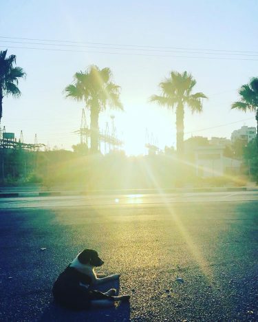 Sabah 6’ya doğru çekmiştim bu fotoğrafı. Kıbrısta yaz aylarında dışarı çıkmak için en ideal…