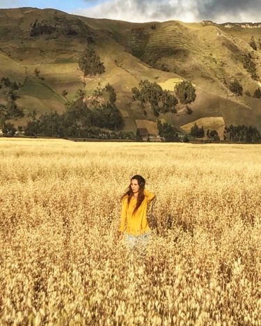 golden wheat fields forever